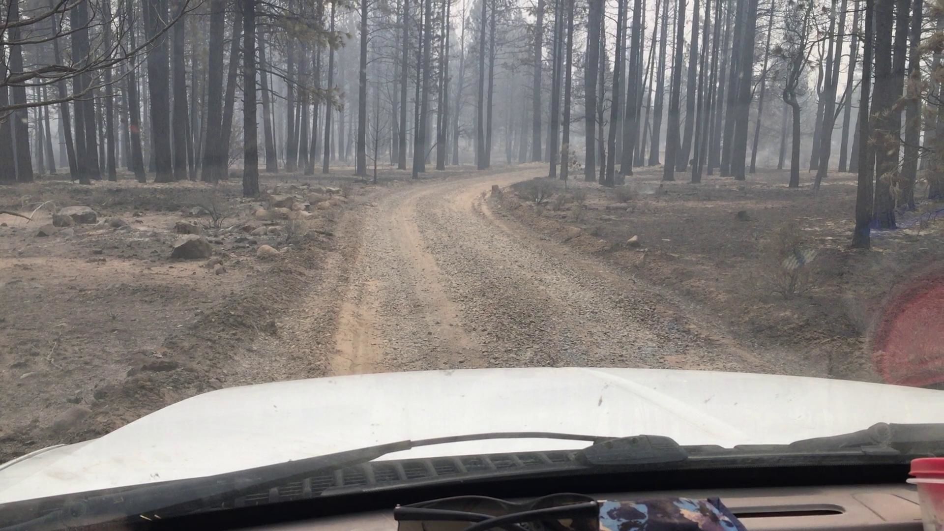 Tim and Dee McCarley return home